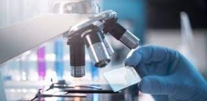 Гистологический метод для исследования тканей и структур