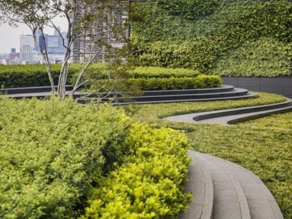 Благоустройство и озеленение: создание комфортных и красивых пространств с помощью компании «Белснаб»