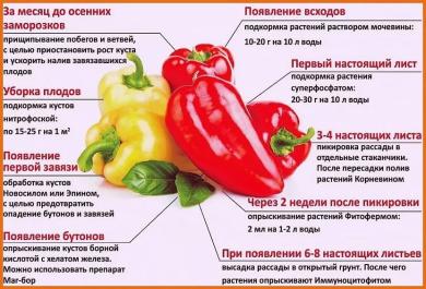 Схема-подсказка для выращивания культуры