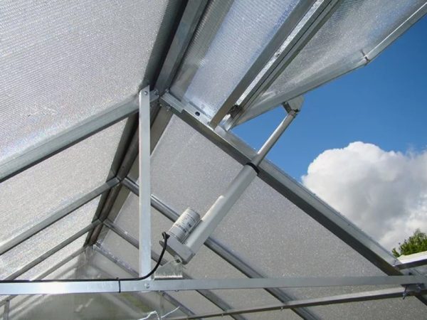 Преимущества автоматических электроприводов для вентиляции теплиц